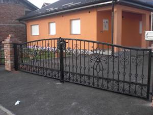 CIMG8174